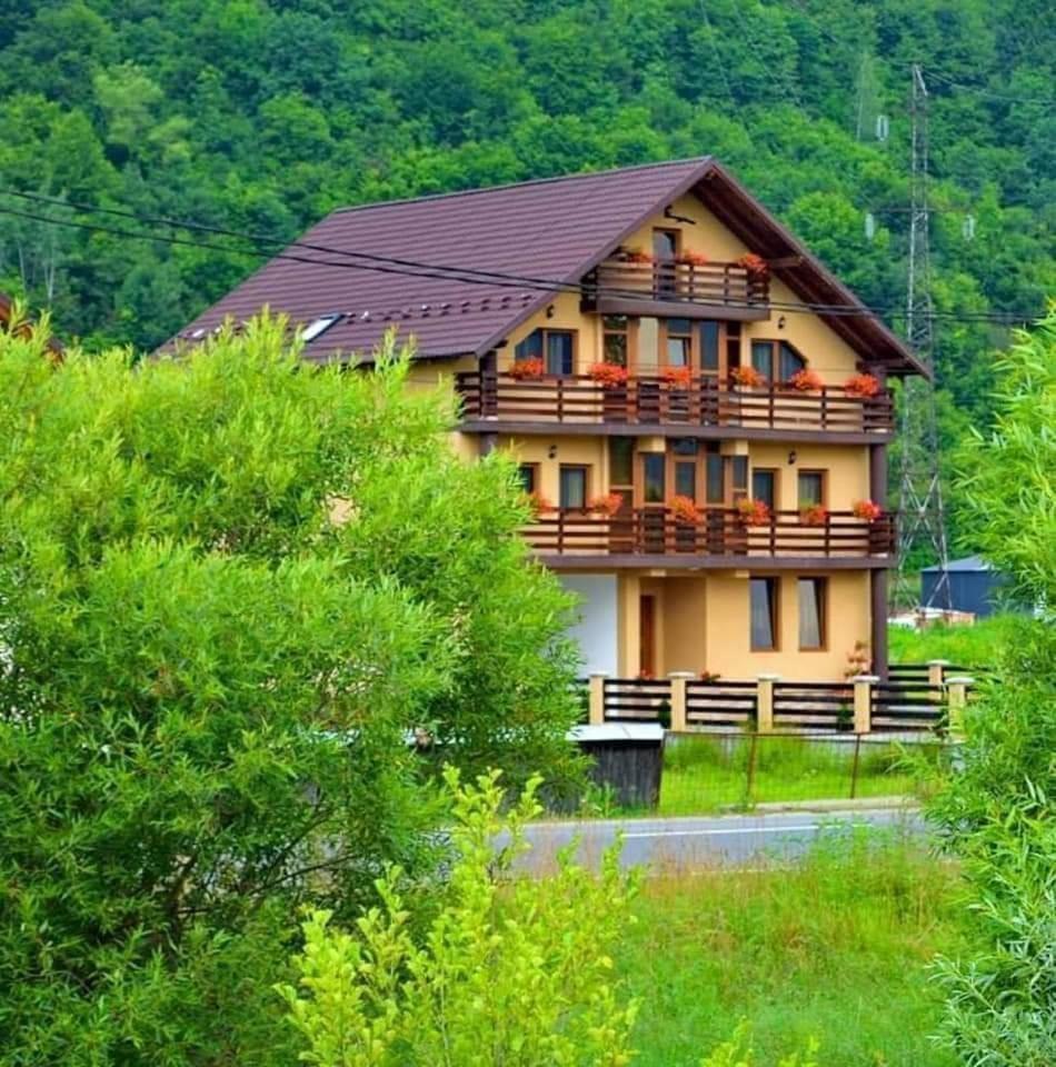 Готель Casa Vadeanu Сигіт Екстер'єр фото