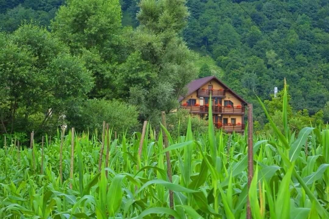 Готель Casa Vadeanu Сигіт Екстер'єр фото